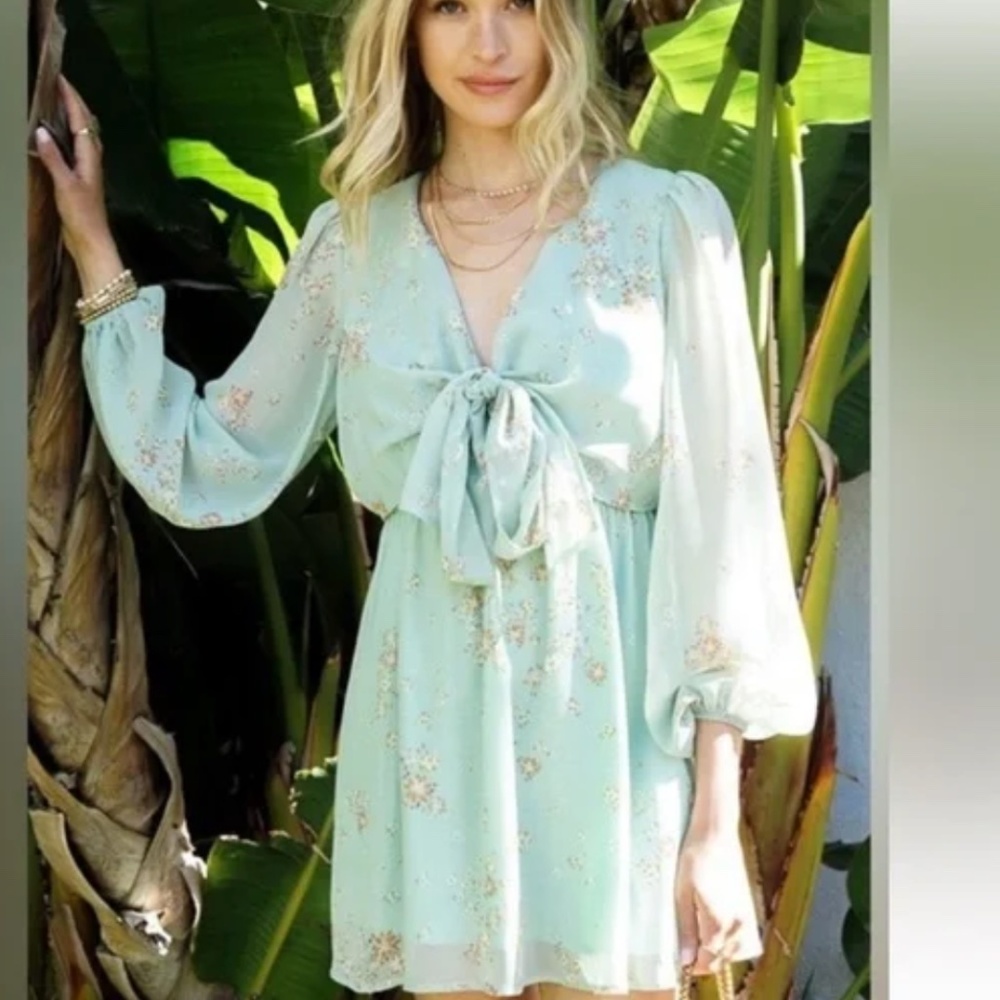 Lumiere Light Green Floral Tie Front Mini Dress, Size Large, NWT